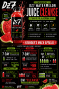 3 day full cleanse